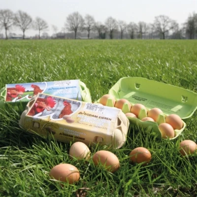 Wegdam Eieren Lochem